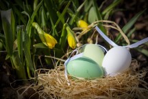 easter-eggs-3257093_960_720
